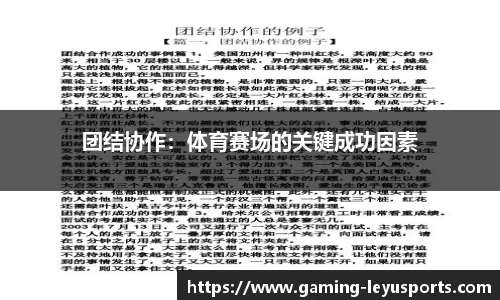 乐鱼体育官方网站