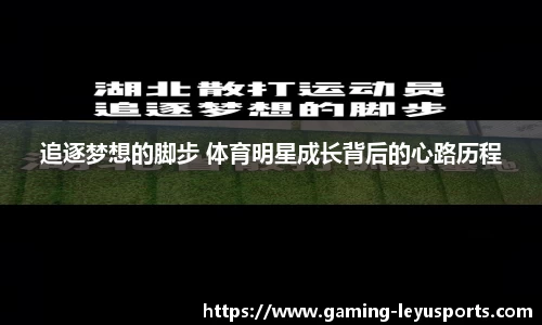 乐鱼体育