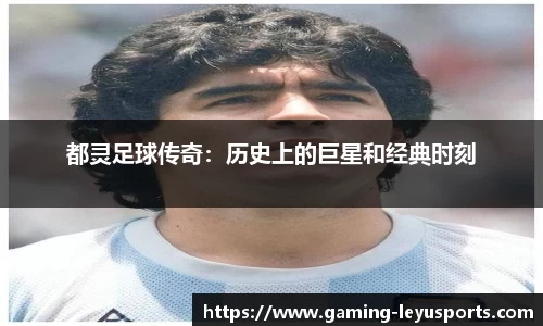 乐鱼体育