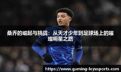 乐鱼体育官方网站